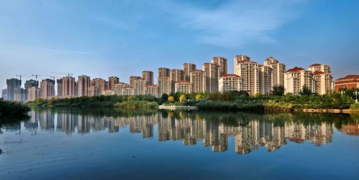 金叶国槐是什么科