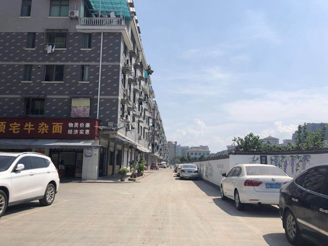 (左侧为项宅,右侧为出让地块(兰溪街沿街商店)地块西南方向是新农贸