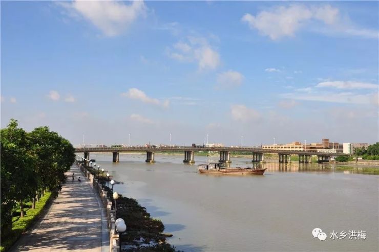 洪梅:森林小镇释放岭南水乡魅力!