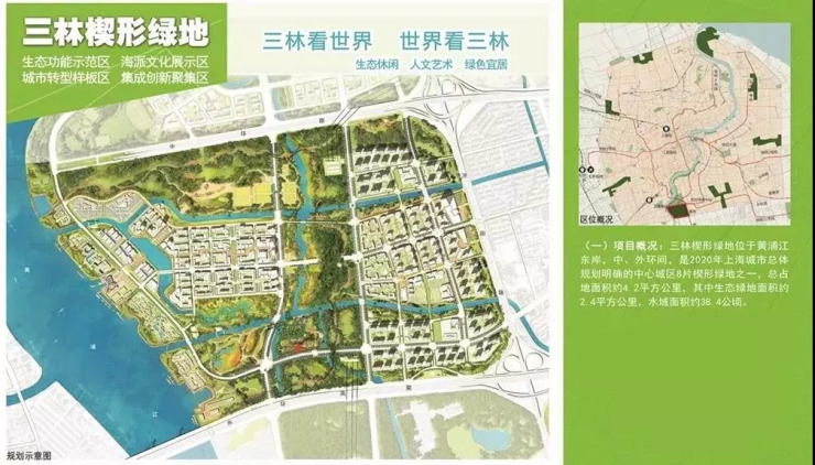 三林楔形绿地规划图图片