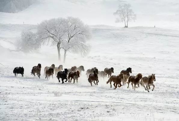 外地人如何在北京买房 ,买房政策-北京搜狐焦点