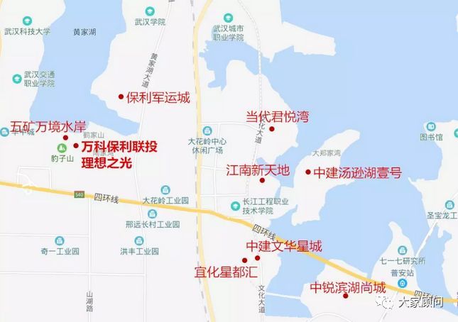 芷湖站引出,沿文化大道,文化路自北向南延伸,途經洪山區,江夏大橋新區