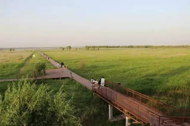 鄭州黃河國家溼地公園