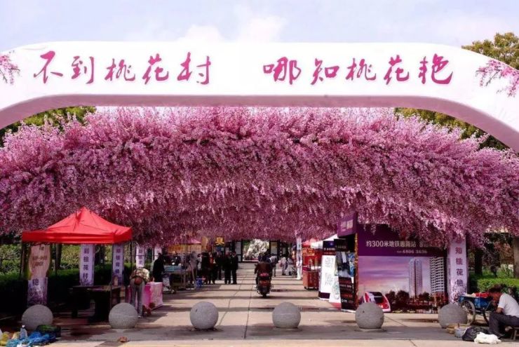 南汇桃花节每年都有好几个园区一同开放,大团桃园,新场桃源,南汇桃花