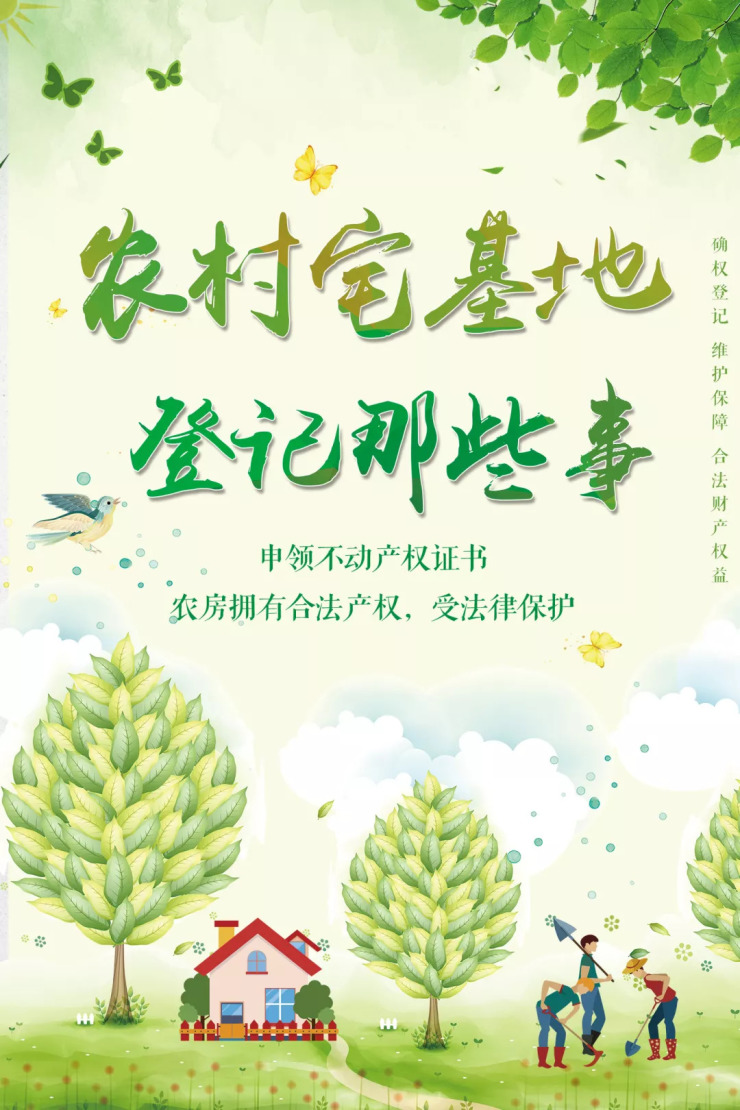 热点解答丨农村宅基地登记那些事