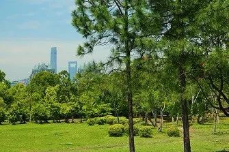 世紀公園部分區域5月1日起免費開放還添加1萬平方米的七彩花田