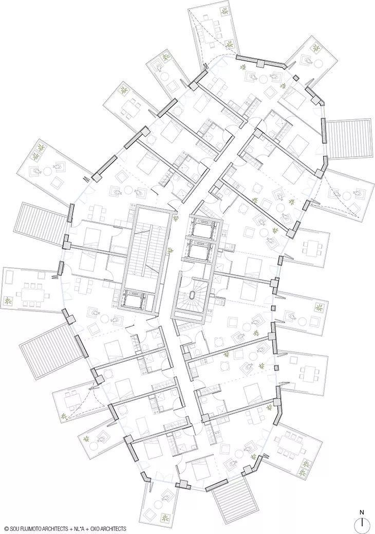 藤本壮介的白树公寓楼建成了每户都有空中花园